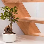 Guestready - Easygoing Pool To River