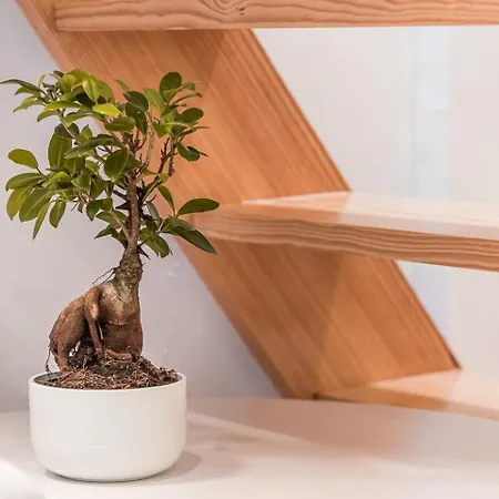 Guestready - Easygoing Pool To River