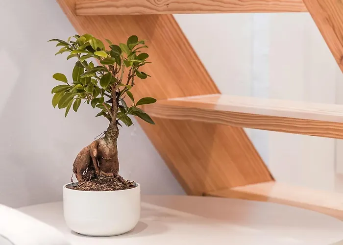 Guestready - Easygoing Pool To River