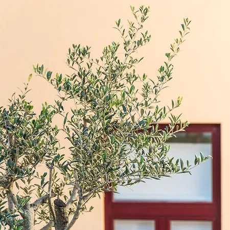 Guestready - Easygoing Pool To River Διαμέρισμα Βίλα Νόβα ντε Γκάια